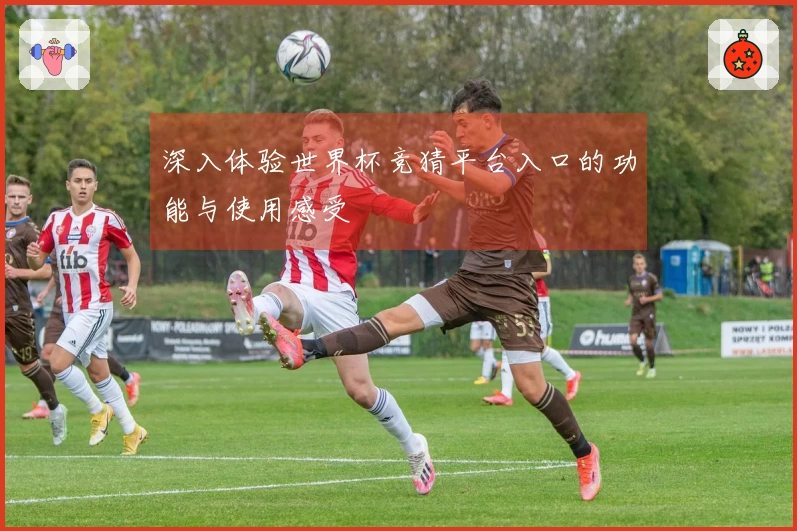 深入体验世界杯竞猜平台入口的功能与使用感受