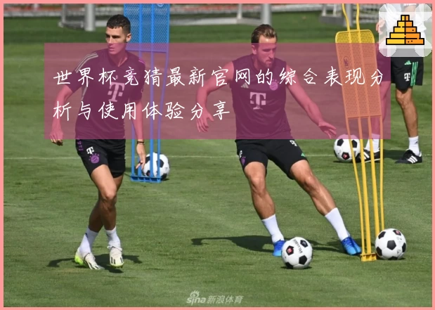 世界杯竞猜最新官网的综合表现分析与使用体验分享