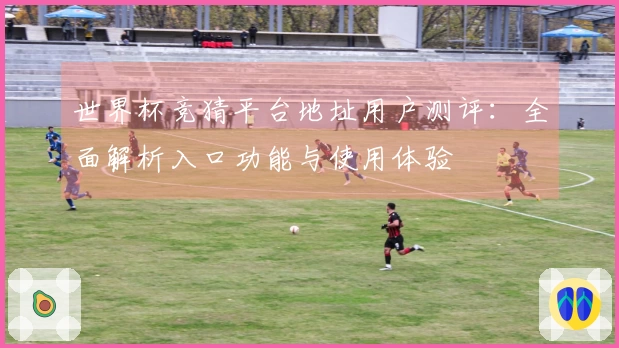 世界杯竞猜平台地址用户测评：全面解析入口功能与使用体验