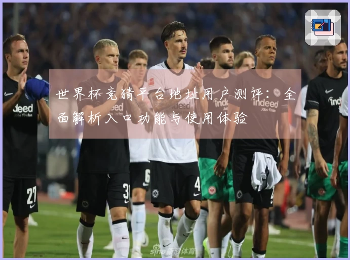世界杯竞猜平台地址用户测评：全面解析入口功能与使用体验