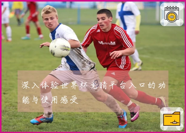 深入体验世界杯竞猜平台入口的功能与使用感受